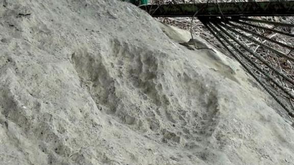 В парке Кисловодска теперь можно увидеть след настоящего динозавра