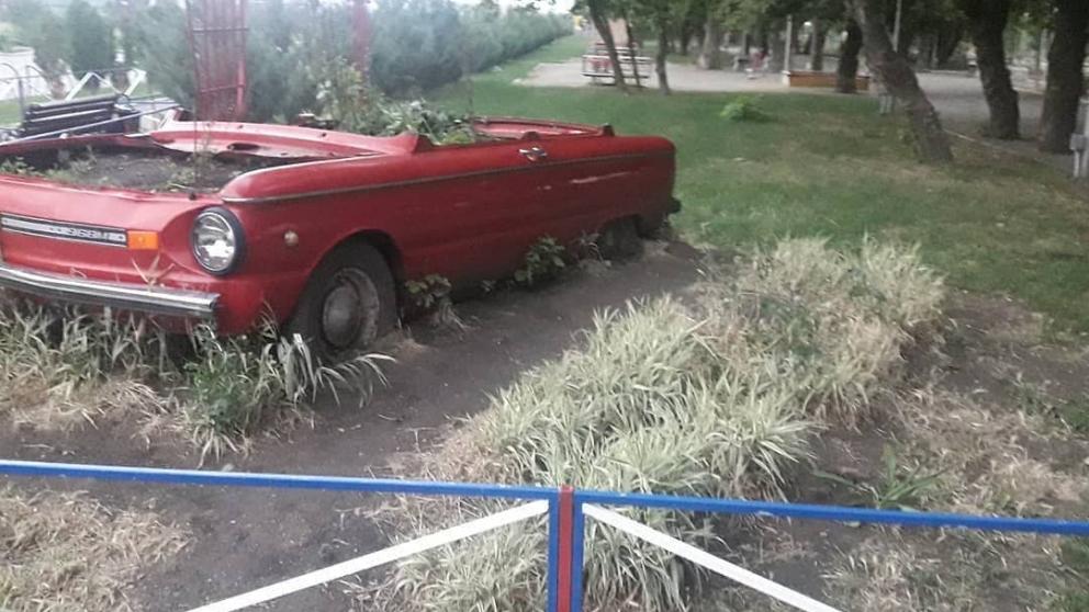 «Цветочный» запорожец украшает клумбу в Михайловске