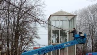 В ставропольском парке Победы у пальмы появился тёплый «дом»