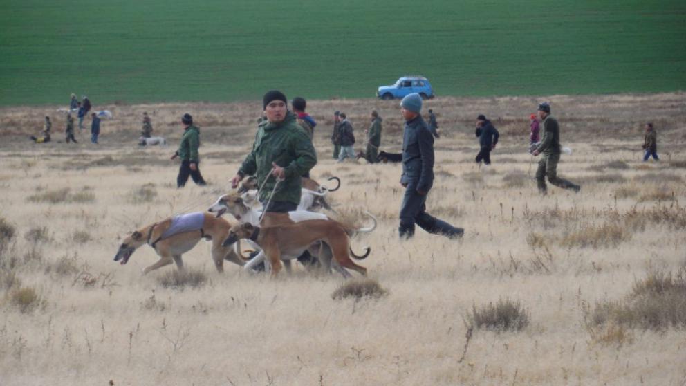 На Ставрополье пройдут Всероссийские состязания по охоте на зайца-русака для собак