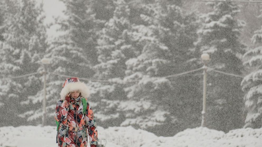 Ставропольцев предупреждают о снегопаде с 30 декабря по 1 января