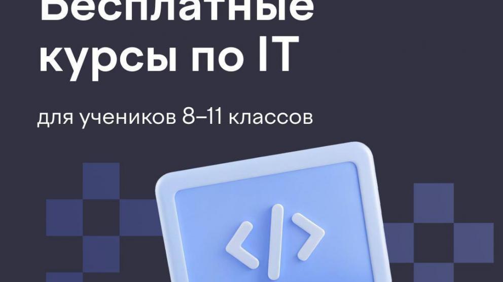 Школьники Ставрополья могут бесплатно освоить программирование