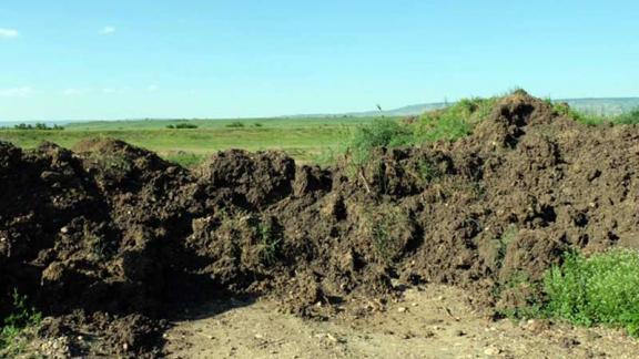 Нарушителя земельного законодательства в Кочубеевском районе отштрафовали на 295 тысяч рублей