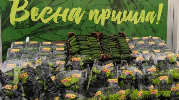 Два инвестпроекта почти за 3 млрд рублей реализуют в Предгорном округе Ставрополья