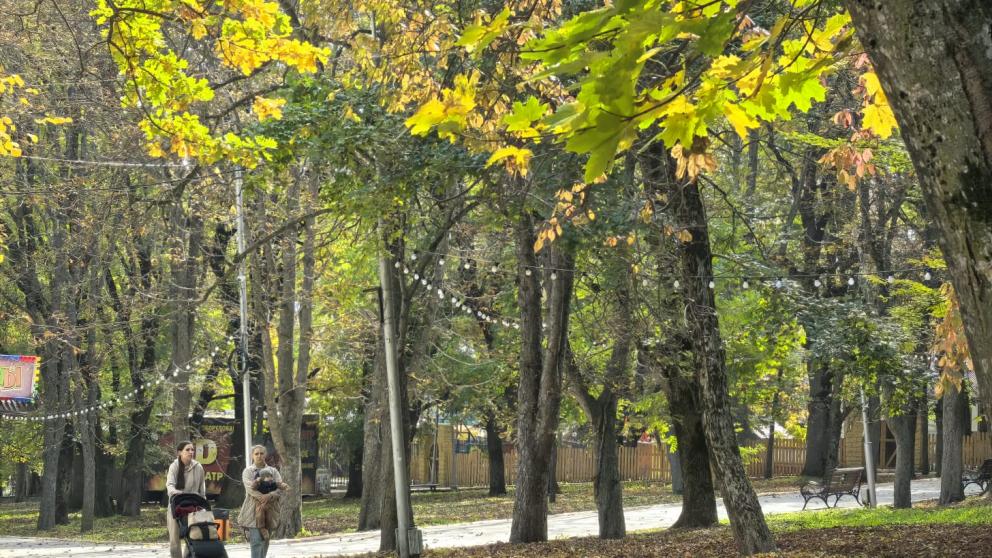 Более 9 тысяч будущих мам Ставрополья получают поддержку от СФР