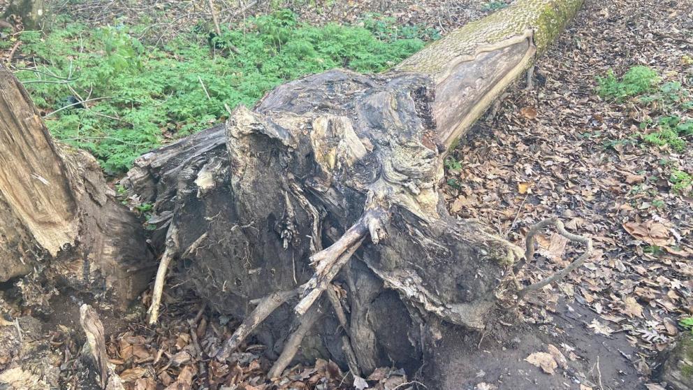 Сильный ветер на Ставрополье продолжится ещё три дня