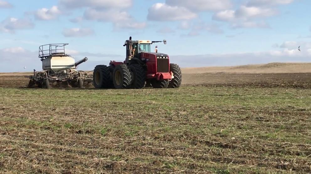 Аграрии Ставрополья посеяли первые 50 тысяч гектаров гороха