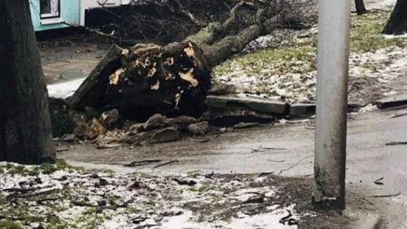 Из-за ветра в Ставрополе пострадала женщина
