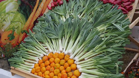 В «Гармонии» пройдет праздник «Корзина изобилия»