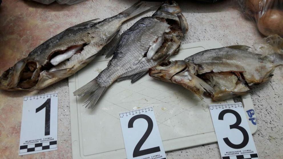 Наркотики в посылках с салом и рыбой пытались передать осужденным в ИК на Ставрополье