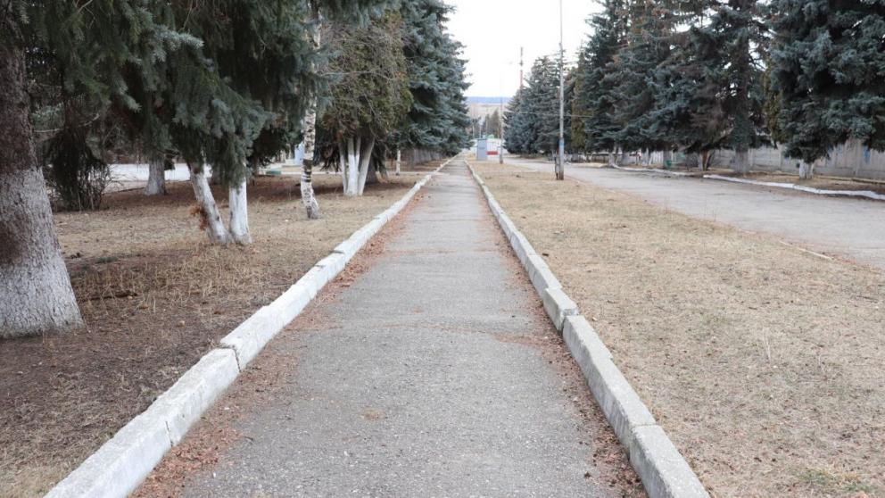 Более 3000 волонтёров Предгорного округа задействуют в организации голосования за объекты благоустройства