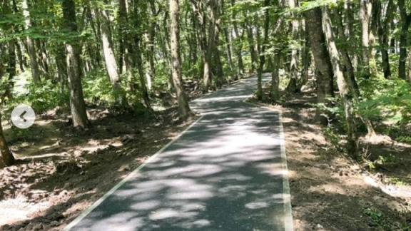 В Ставрополе появилась новая пешеходная дорожка через Кругленький лес