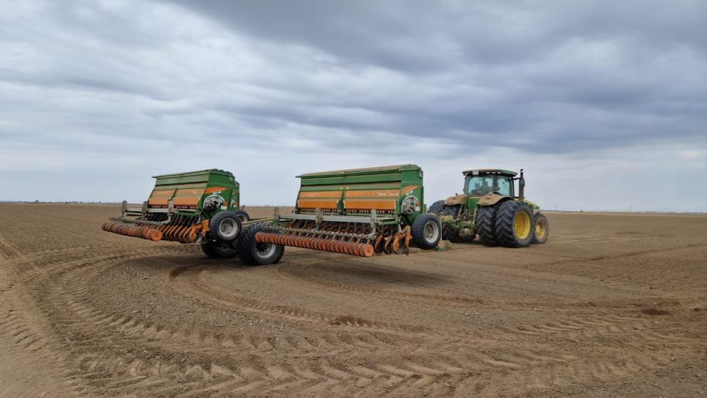 Сельхозпроизводители края получат более пяти миллиардов рублей средств господдержки