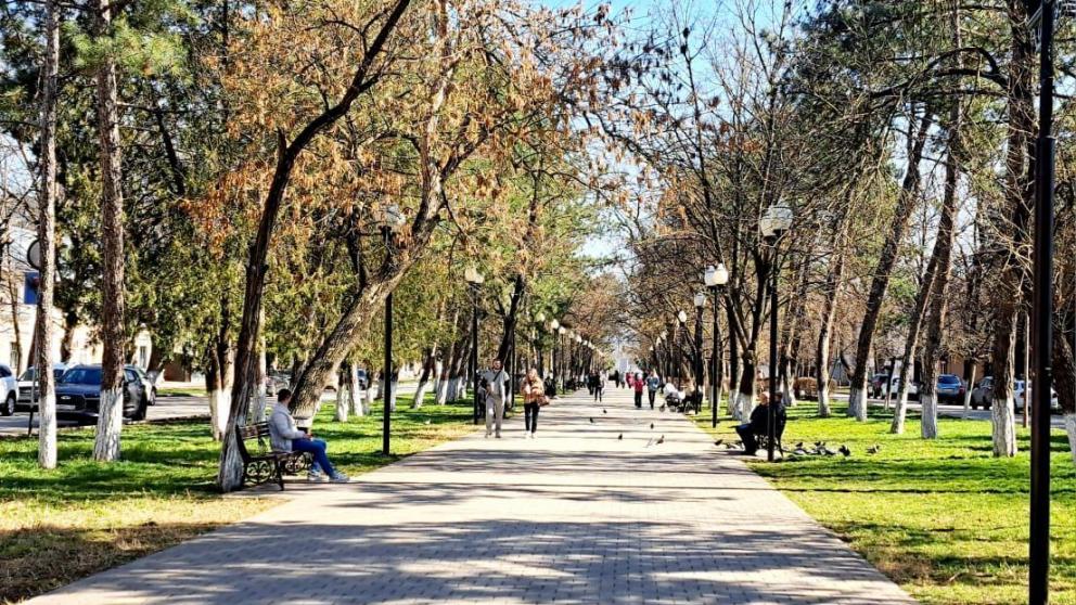 Глава Минераловодского округа запустил опрос об обновлении скамеек на проспекте Карла Маркса