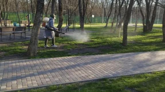 В Ставрополе обработали около 700 тысяч квадратных метров от клещей