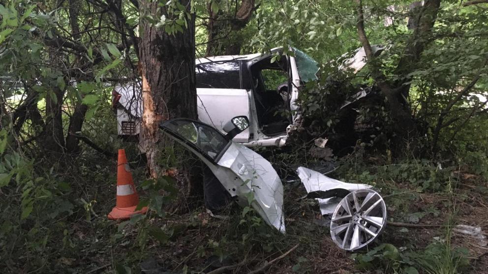Лихач на иномарке врезался в дерево недалеко от Ставрополя