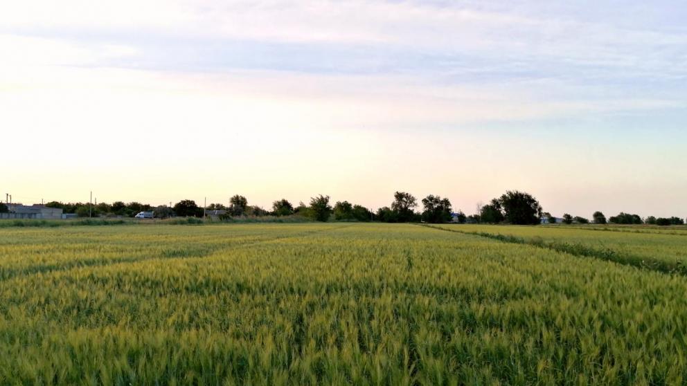 На Ставрополье построят 26 новых оросительных объектов