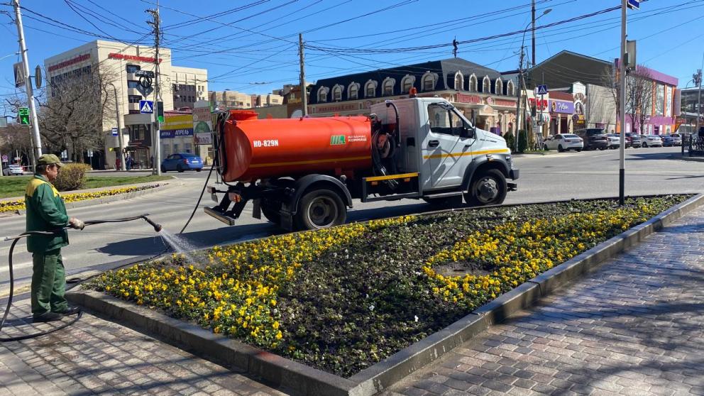 Озеленители Ставрополя увеличили интенсивность полива городских клумб