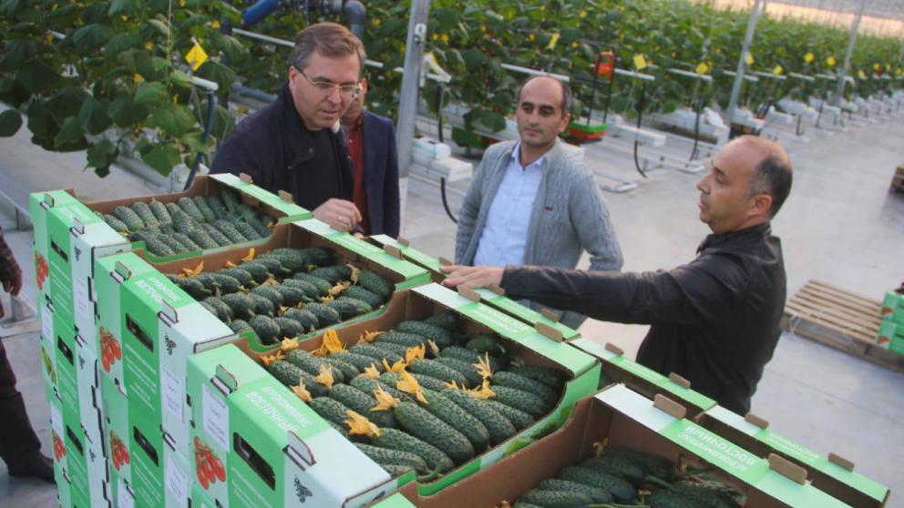 В Левокумском округе завершается строительство тепличного комплекса