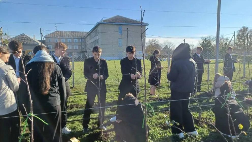 В школе № 4 посёлка имени Кирова заложили суперинтенсивный яблоневый сад