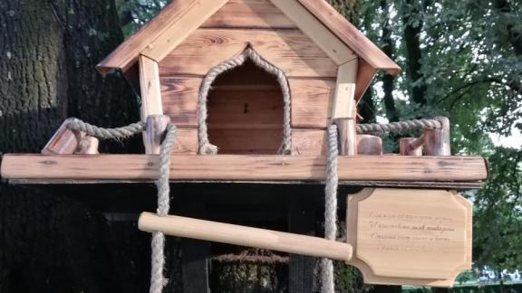 Специальное печенье для птиц и белок разработали в Ставрополе