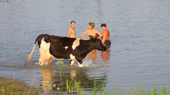 Лептоспироз: как уберечь себя от инфекции
