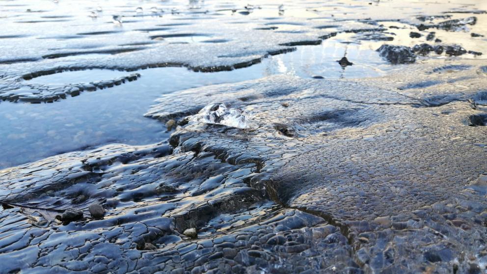 На Ставрополье спасатели сняли со льда водоема двух школьников