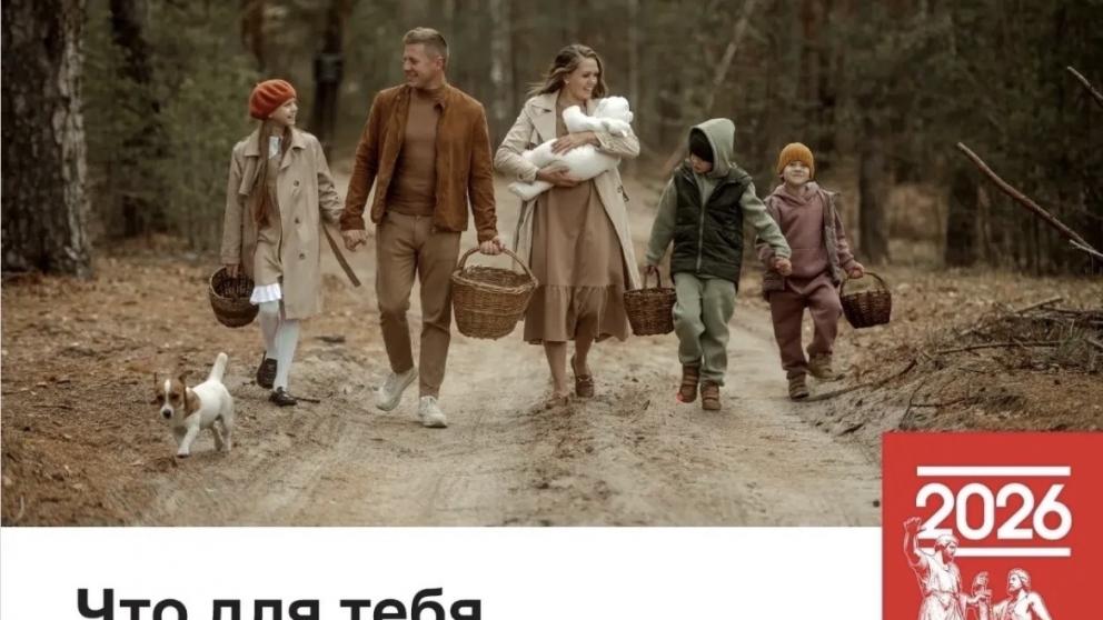 Губернатор Владимиров поздравил ставропольцев с Международным днём семьи