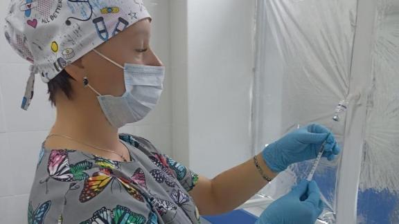 В Будённовском округе идёт иммунизация населения против гриппа