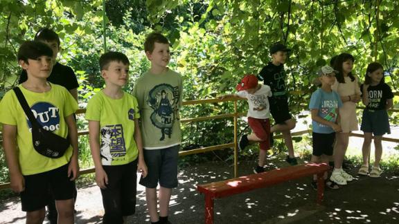 Юные ставропольцы любят «Читающий дворик» краевой детской библиотеки