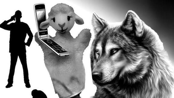 Как не стать жертвой мошенников