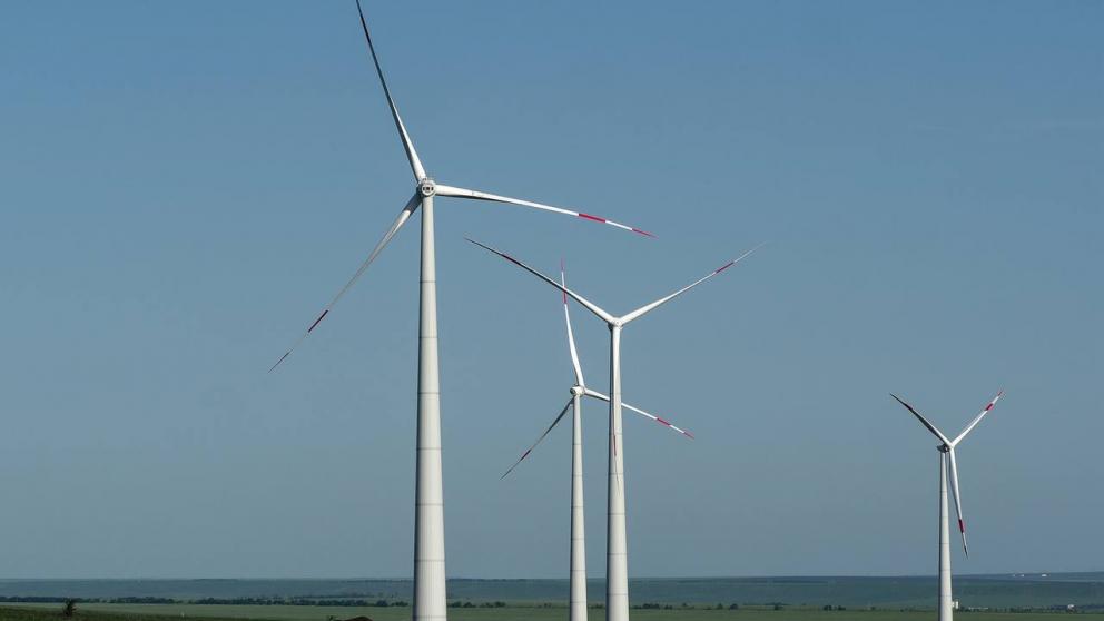 Губернатор Владимиров: Готовим запуск экскурсий в Кочубеевский ветропарк