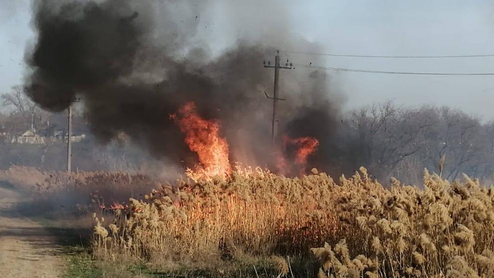 Ставропольцев предупредили о чрезвычайной пожароопасности