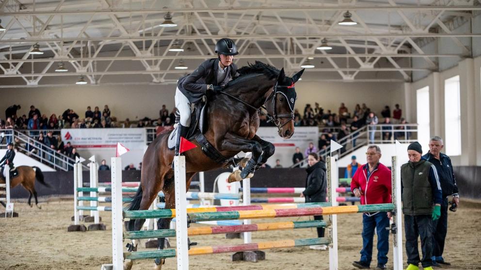 Ставропольские конники завоевали шесть медалей на престижных соревнованиях