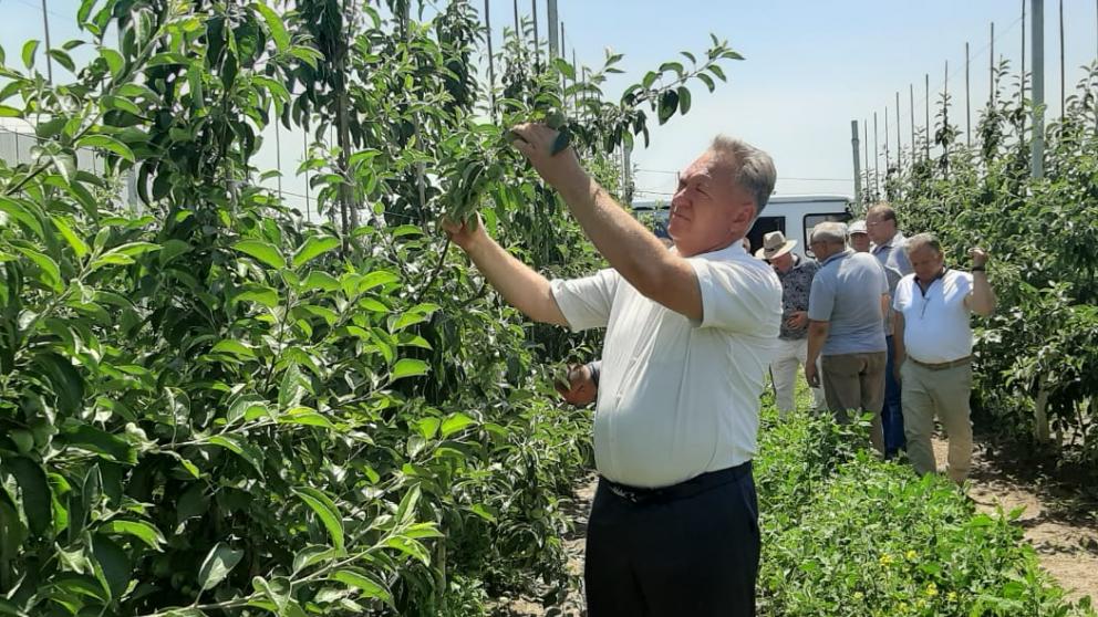 В Изобильненском округе Ставрополья планируется собрать урожай с 51 тысячи гектаров