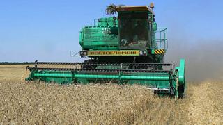 Ученические бригады участвуют в жатве на Ставрополье