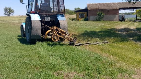 На Ставрополье заготавливают корма для диких животных