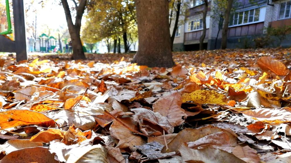 В минЖКХ Ставрополья разъяснили, кто должен вывозить мусор после весенней уборки