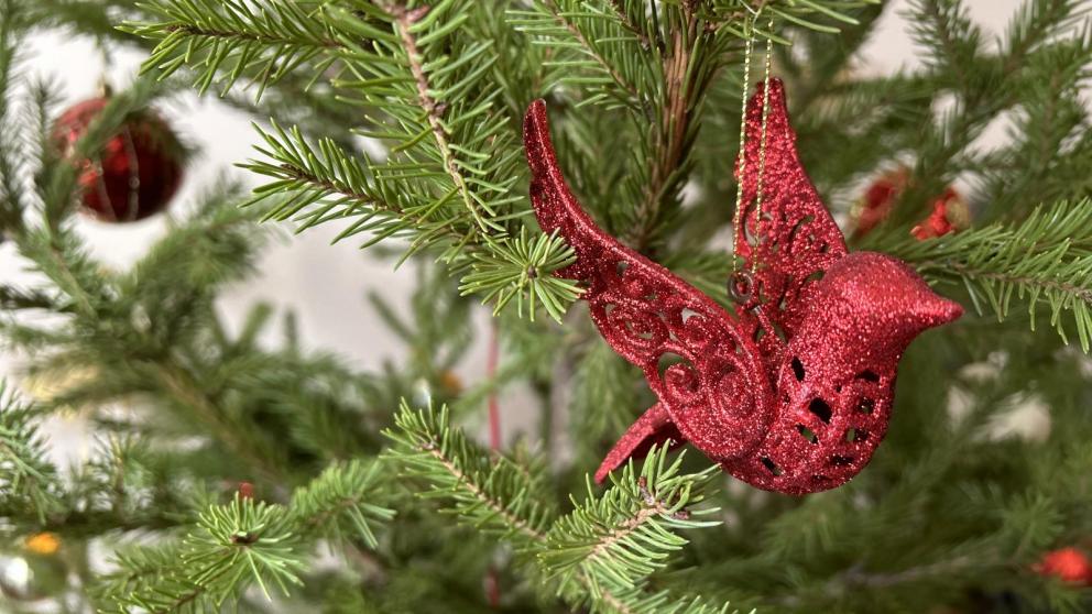 В Ставрополе продолжается благотворительная акция «Радость добрых дел»