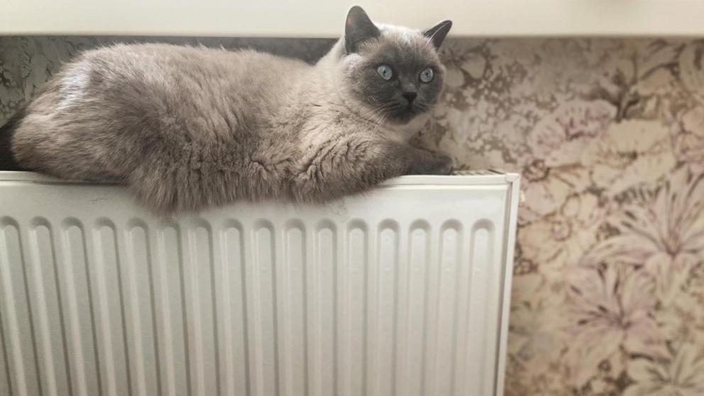 Ставрополец переплатил за отопление 34 тысячи рублей