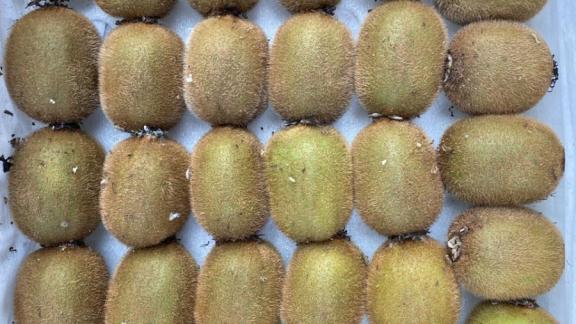 В Ессентуках состоится ярмарка выходного дня