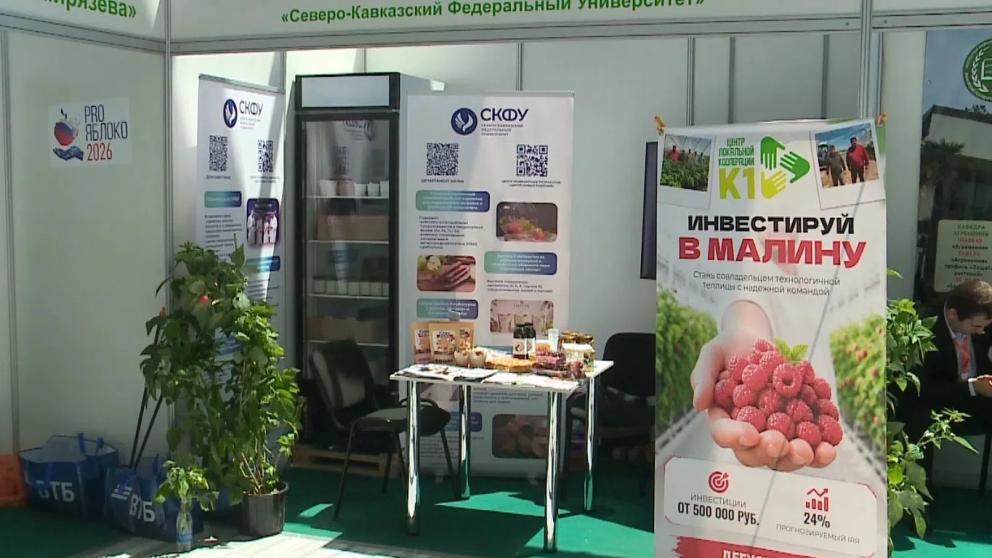 СКФУ на выставке «PRO ЯБЛОКО 2026» представляет научные решения для пищевой индустрии
