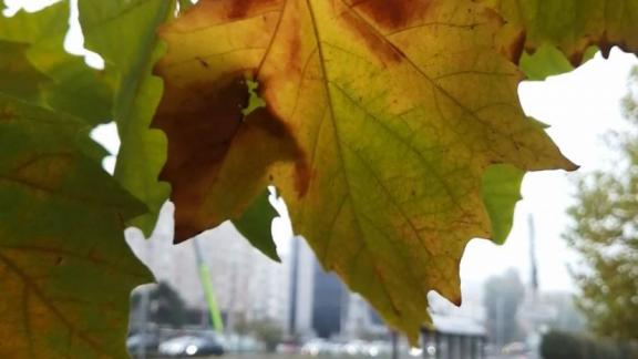 Ставропольцев предупреждают о ливнях с 9 по 11 сентября