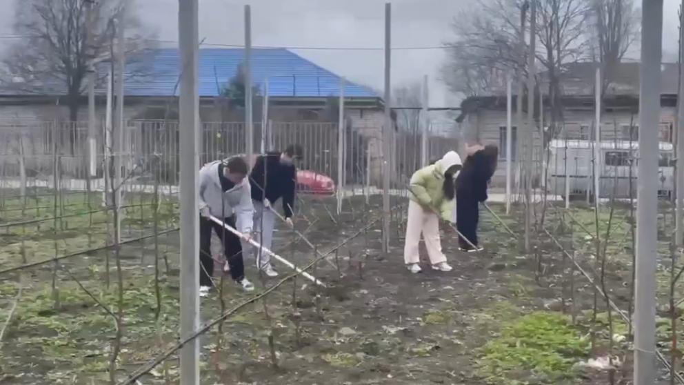 В школьном саду станицы Шпаковского округа Ставрополья проходят весенние работы