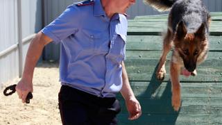 В колонию на Ставрополье пытались передать наркотик в тюбике крема