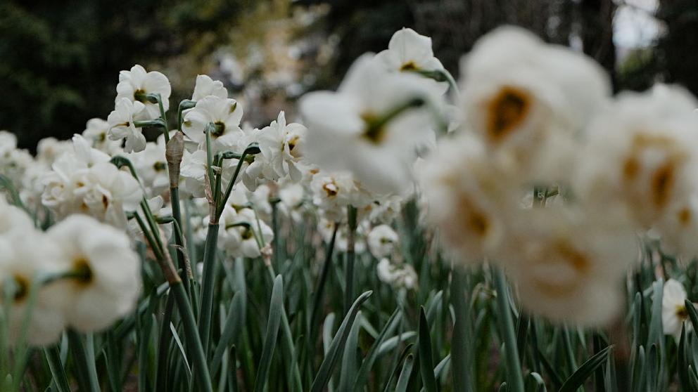 Пятигорчанка представит Ставрополье на конкурсе красоты «Missis World Russia»