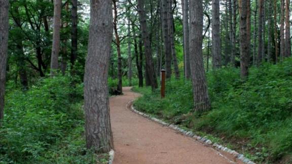 Терренкуры Кисловодска попали в тройку самых живописных маршрутов для хайкинга