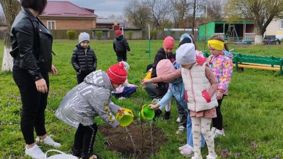 В рамках всероссийской акции в Красногвардейском округе высадили около 400 деревьев