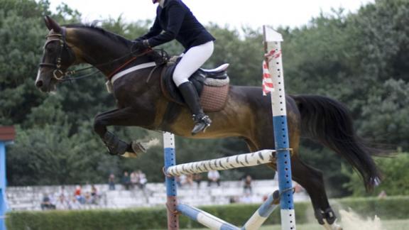 В парке Победы Ставрополя прошли конно-спортивные соревнования