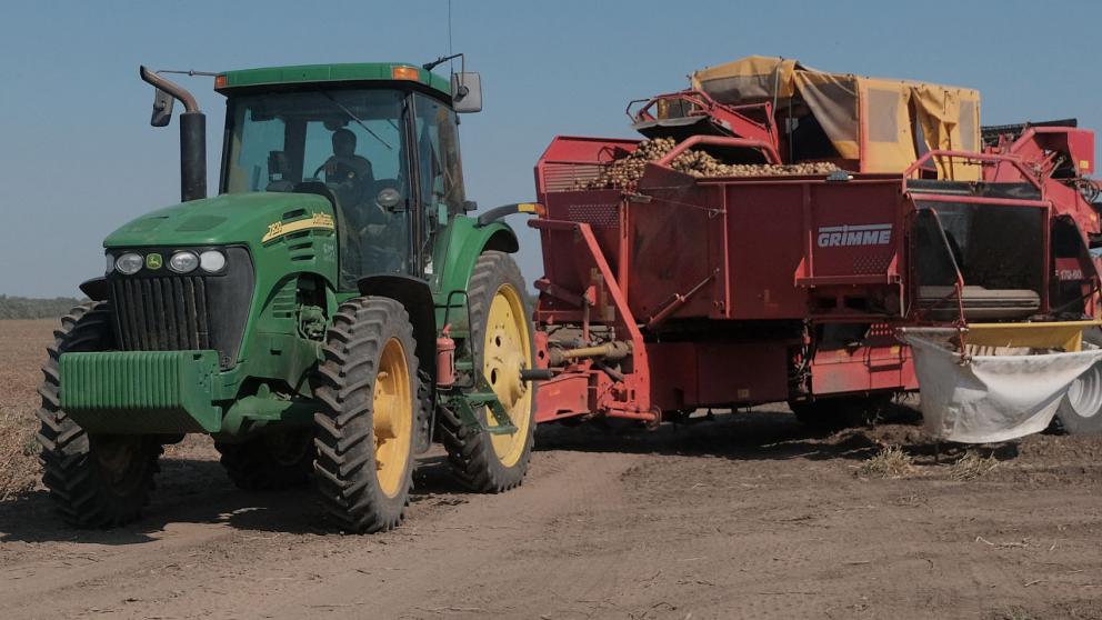 На Ставрополье в разгаре копка картофеля